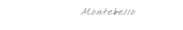 logo_tao