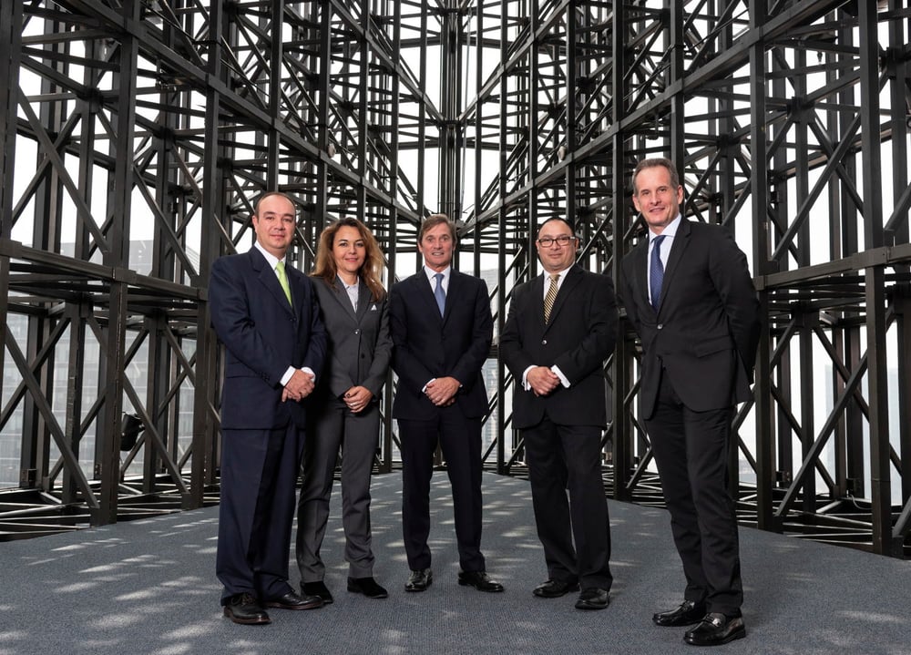 Strategic allies, Inmobilia investors. 