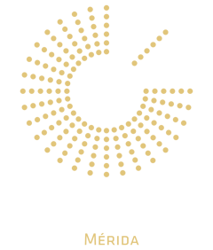 The harbor