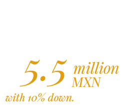 VDS-55-million-1