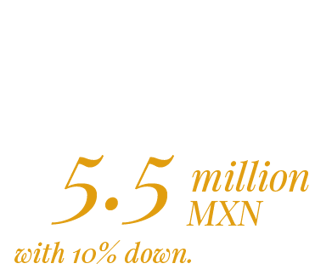 VDS-55-million-1