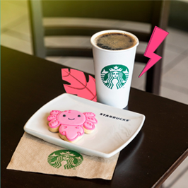 new starbucks