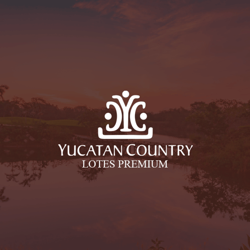 ycc-lotes-box