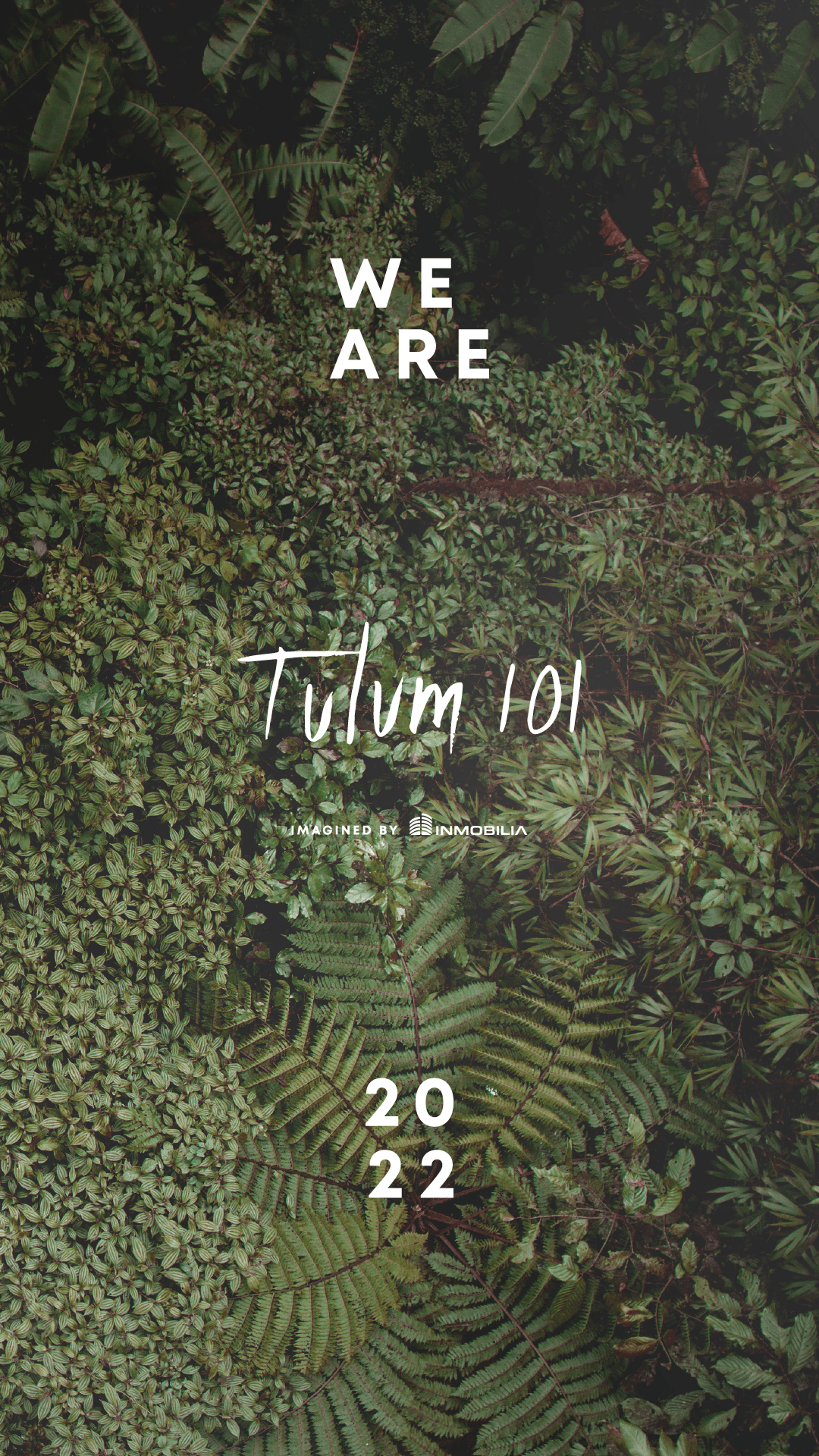 tulum 101