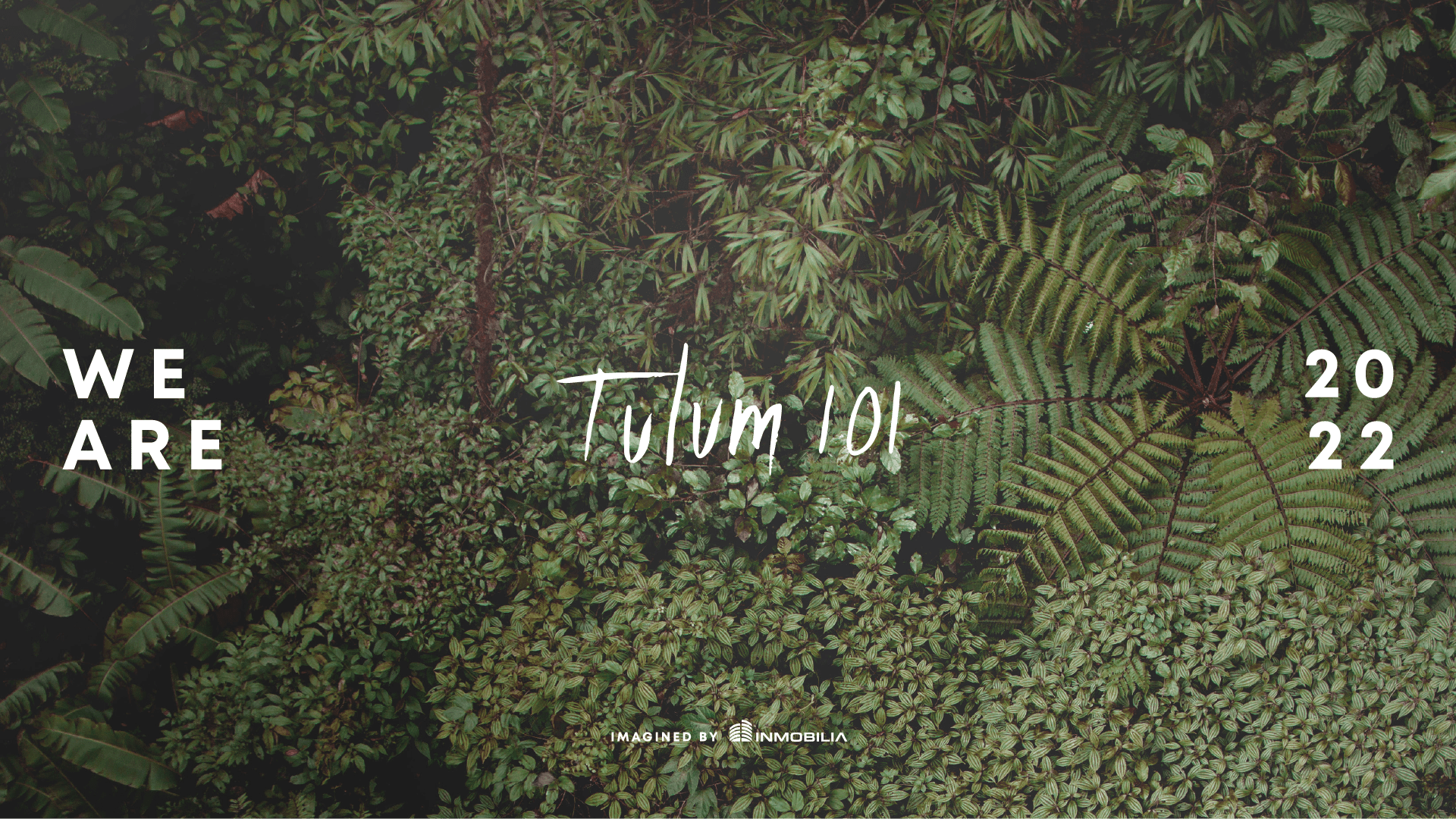 tulum 101