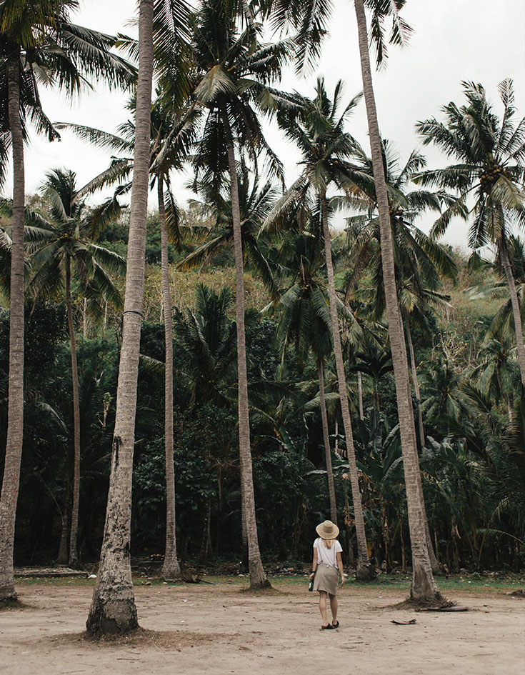 Nature  in Mayaliah by MGallery in Tulum, México