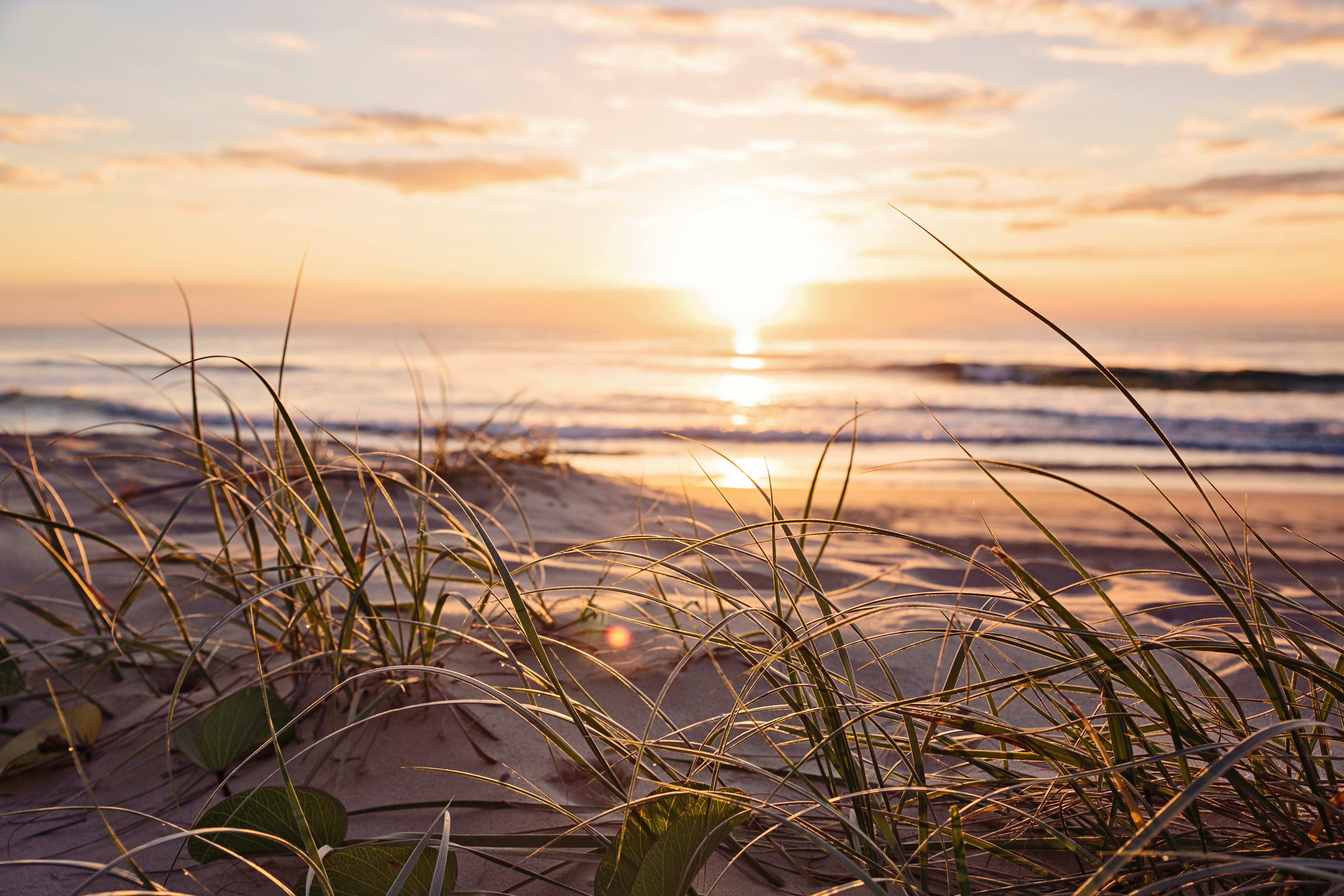 Sunset at the beach  in Mayaliah by MGallery in Tulum, México