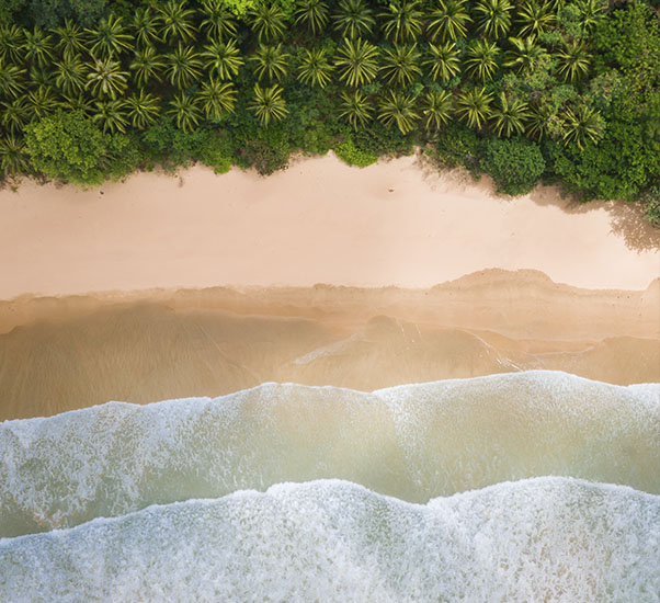 Memorable journey in Mayaliah Residences, a project by MGallery in Tulum, México.