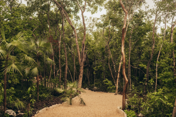 Ubicación privilegiada en Tulum 101